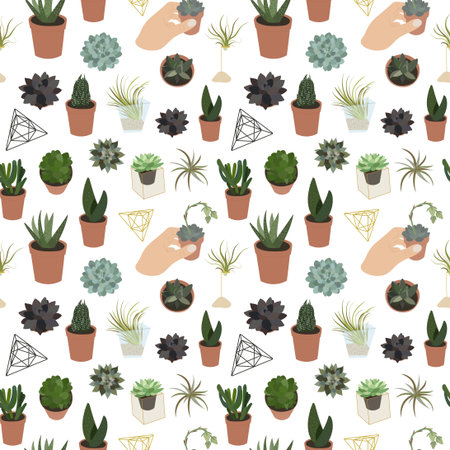 Realistic set of color succulents and accessoriesのイラスト素材