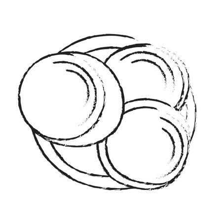 Ink drawing pieces of eco-friendly homemade soap. Vintage graphics and handwork. Black sketch outline.のイラスト素材