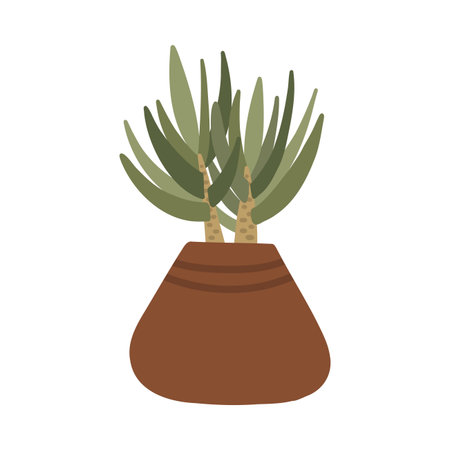 Botanical plant succulent in Scandinavian pot in boho styleのイラスト素材