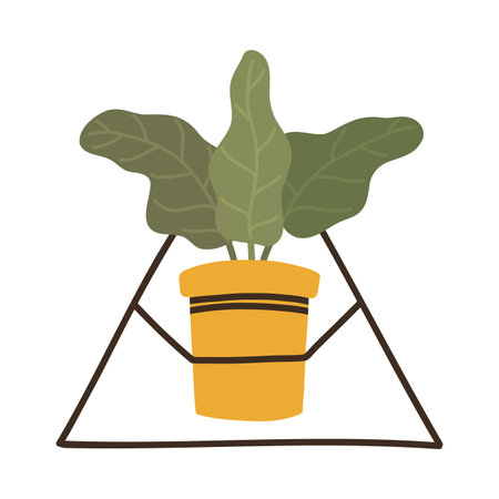 Botanical decorative leafy plant alokasia in Scandinavian pot in boho styleのイラスト素材