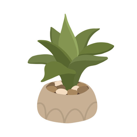 Botanical plant succulent aloe in Scandinavian pot in boho styleのイラスト素材