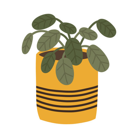 Botanical decorative leafy plant Maranta in Scandinavian pot in boho styleのイラスト素材