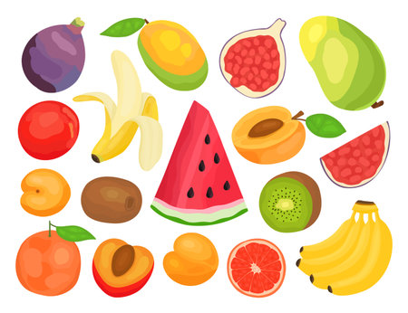 Fruit set in cartoon style. Fig, peach, apricot, orange, kiwi, banana, mango, watermelon, grapefruit.のイラスト素材