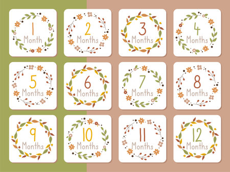Set of Baby Milestone Month Cards in flower wreath on isolated background. Design for postcard, greeting card, poster, concept, flyer, cardのイラスト素材
