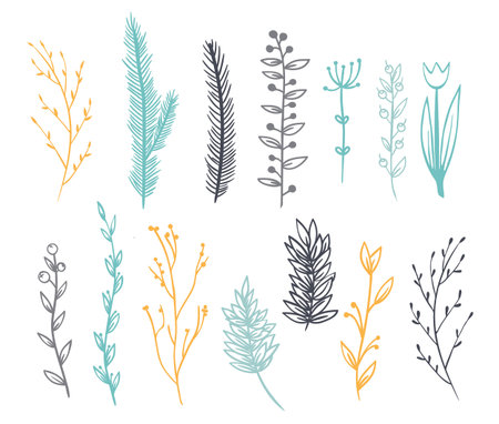 Set of branches for decoration. It contains fourteen different branches. There are hardwood, pine, berries, flowers. Done in pastel colors. Background white.のイラスト素材