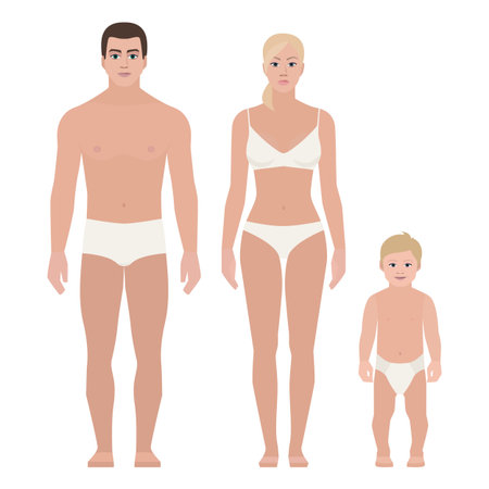 Body of a man, women, child, family, stylized, illustrationのイラスト素材