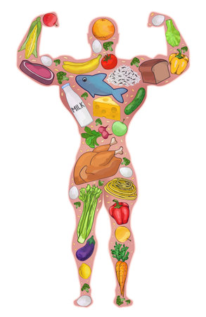 Athlete food, healthy people. Diet, protein food. Sport, bodybuilder. illustrationのイラスト素材