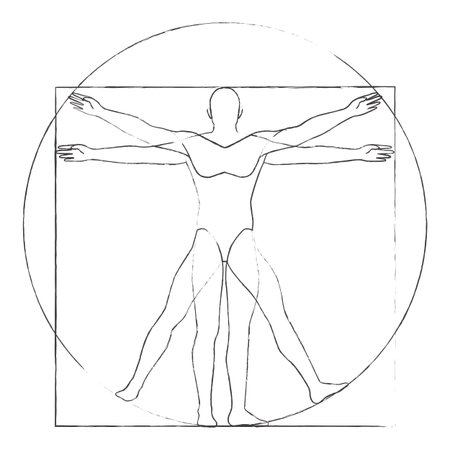 Vitruvian man drawing vector illustrationのイラスト素材
