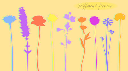 Silhouette of colored flowers, vector illustrationのイラスト素材