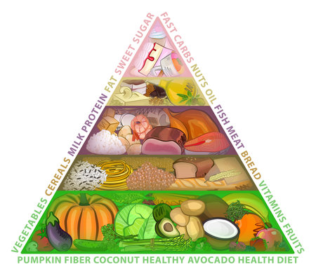 The food guide pyramid, diet, watercolor, vector illustrationのイラスト素材