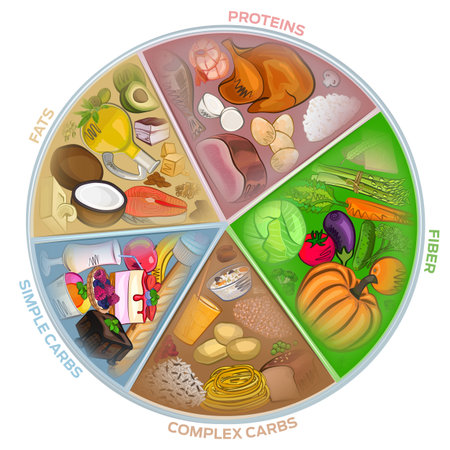 The circle of nutrition, food watercolor, diet. meat, vegetables, vector illustrationのイラスト素材