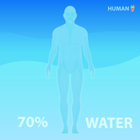 The human body consists of 70% water. Vector infographic illustrationのイラスト素材