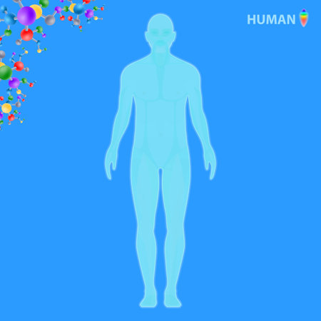 Human body cosmetology, illustration vectorのイラスト素材