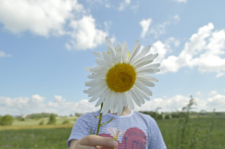 summer walkの写真素材