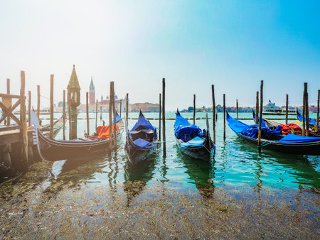 Gondolas parked at the waterfront in Venice, Italyの写真素材