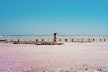 A women in the distance in a panoramic picture of a pink lake with a high content of salt and algae that give rose water.の写真素材