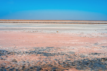 Wooden poles on the salt lake with rose water, Crimeaの写真素材