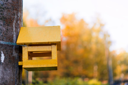 A birdhouse in the form of a yellow house hangs on a tree on a blurry autumn background, a place for textの写真素材