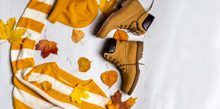 Autumn concept, modern bright banner. Women's sweaters and boots in the middle of autumn maple leaves on a white backgroundの写真素材