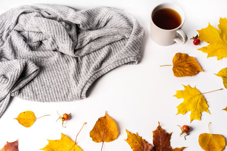 Autumn concept, modern bright banner. Women's sweaters and boots in the middle of autumn maple...