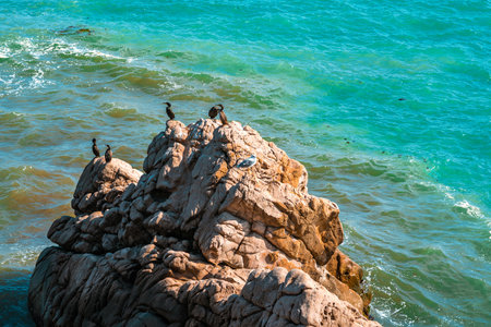 Seascape with rocks and waves from above, Crimea