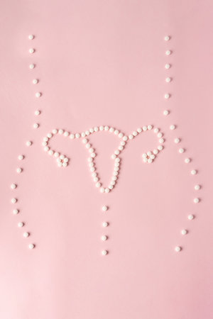 The uterus is laid out of tablets on a pink background and the inscription "Folate" is made of wooden blocks. The concept of women's healthの写真素材