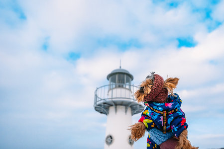 A Yorkshire terrier was picked up on a winter day on a frozen, snow-covered river with a lighthouse.の写真素材