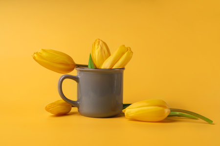 Floral composition of yellow tulips in a tea mug on a yellow background, place of the textの写真素材