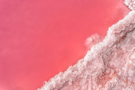 Natural background with pink salt lake. A clear line of pink water and salt. Salt used in medicine, dermatology and spaの写真素材