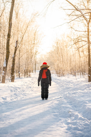 A little girl in a red hat and scarf walking through a winter forest with snow-covered trees. beautiful winter landscape.の写真素材