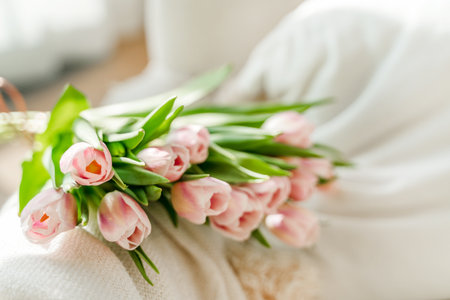Spring concept with pink tulips lying on a blanket in a bright modern interior. A beautiful banner for spring and summer.の写真素材