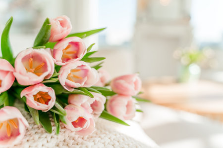 Spring concept with pink tulips lying on a blanket in a bright modern interior. A beautiful banner for spring and summer.の写真素材