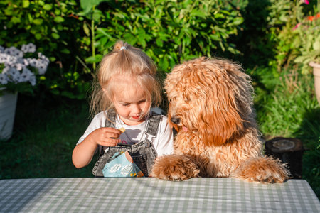 Little child girl sits at a table with her curly shaggy dog outdoor in summer