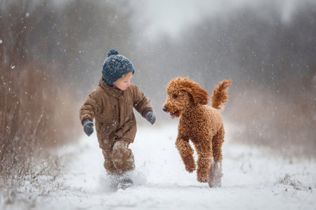 3-year-old little child in a hat and coat runs with dog in the fresh air in a snowy forest in winterの素材