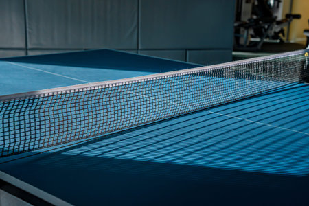 Close-up of the tennis court site. A tennis net that clearly divides the blue playing surface. Perfect for texture or texture, background imageの写真素材
