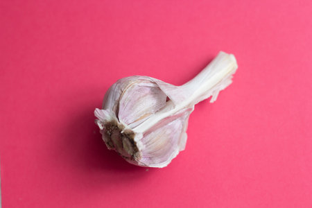 garlic for health on a pink background. fragrant vegetable. natural farm product.の写真素材