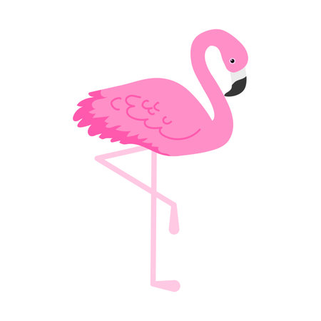 Flamingo or tropical birds illustration for party card. Summer exotic background. Vintage cute holiday setのイラスト素材