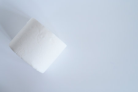 rolled white toilet paper in a white background. space for text, flat lay, top viewの写真素材