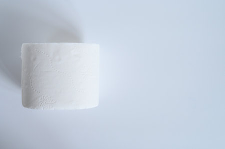 rolled white toilet paper in a white background. space for text, flat lay, top viewの写真素材