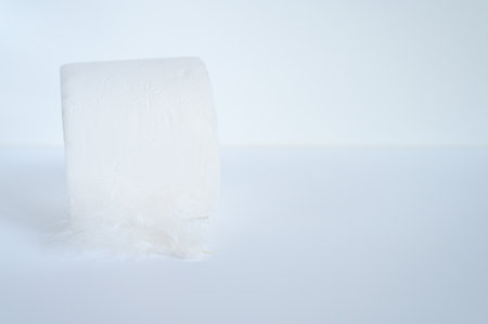 a roll of toilet paper and a white feather on a white background. space for textの写真素材