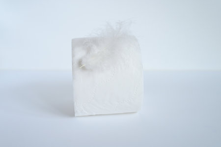 a roll of toilet paper and a white feather on a white backgroundの写真素材