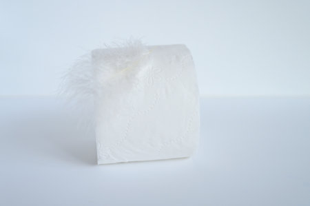 a roll of toilet paper and a white feather on a white backgroundの写真素材