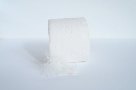 a roll of toilet paper and a white feather on a white backgroundの写真素材