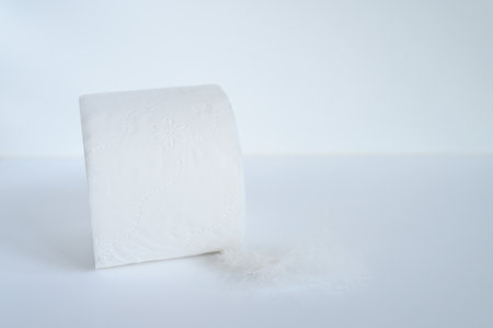 a roll of toilet paper and a white feather on a white background. space for textの写真素材