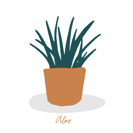 Urban jungle, trendy home decor with plant in handing pots handrawn in vector flat doodly cartoon styleのイラスト素材