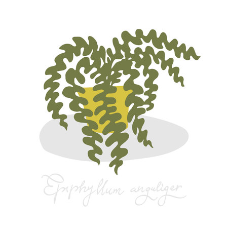 Urban jungle, trendy home decor with plant in handing pots handrawn in vector flat doodly cartoon styleのイラスト素材