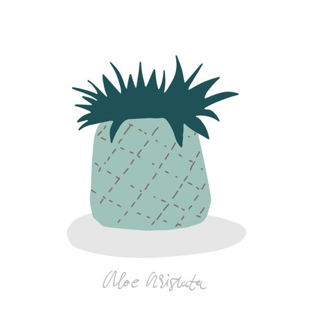 Urban jungle, trendy home decor with plant in handing pots handrawn in vector flat doodly cartoon styleのイラスト素材