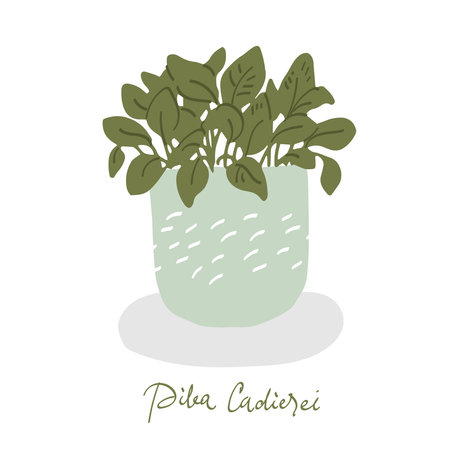 Urban jungle, trendy home decor with plant in handing pots handrawn in vector flat doodly cartoon styleのイラスト素材