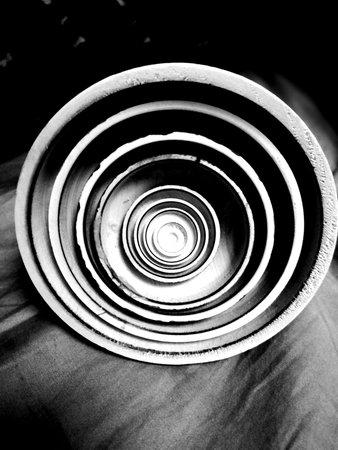 black and white symmetryの写真素材