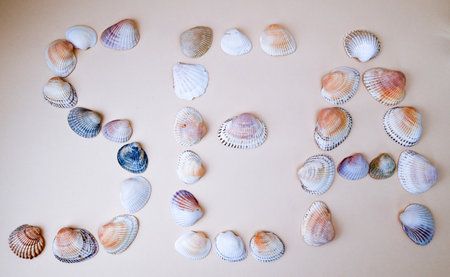 concept background from sea shells word sea